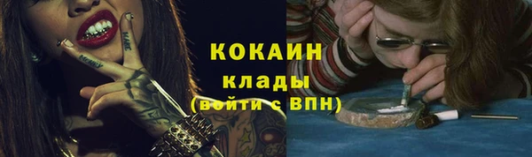 гашик Волосово