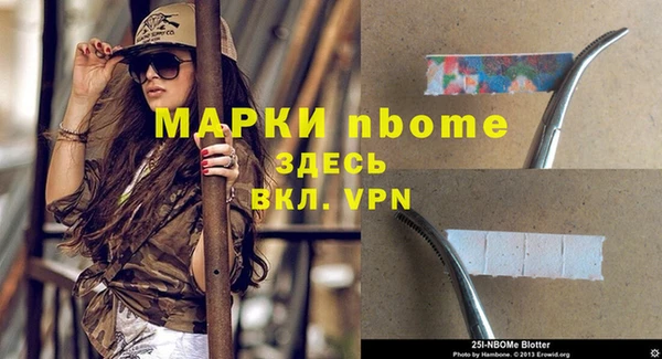 стаф Липки
