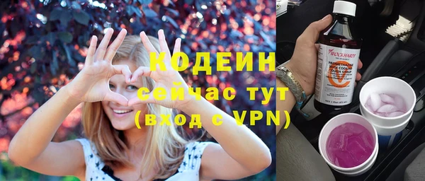 спиды Лиски