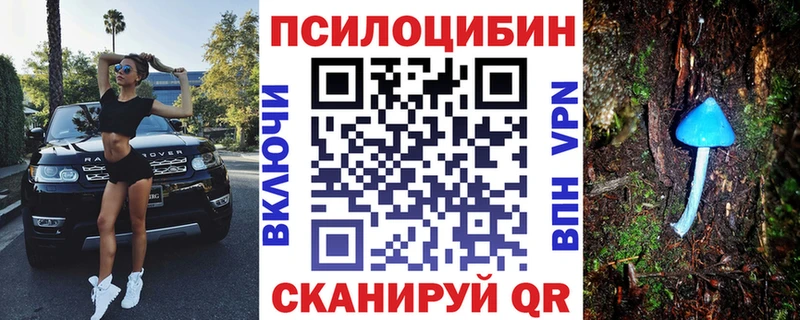 Псилоцибиновые грибы GOLDEN TEACHER  Онега 